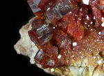 Lustrous Red Vanadinite Crystals on Barite - Morocco #45692-1
